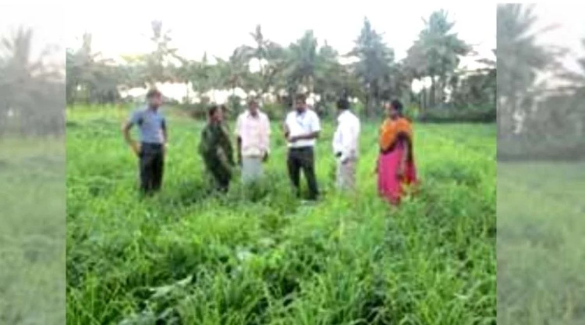 Integrated Farming