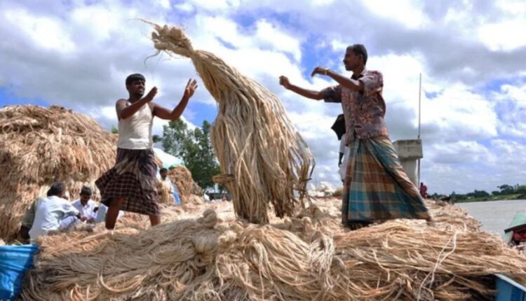 Jute Farming