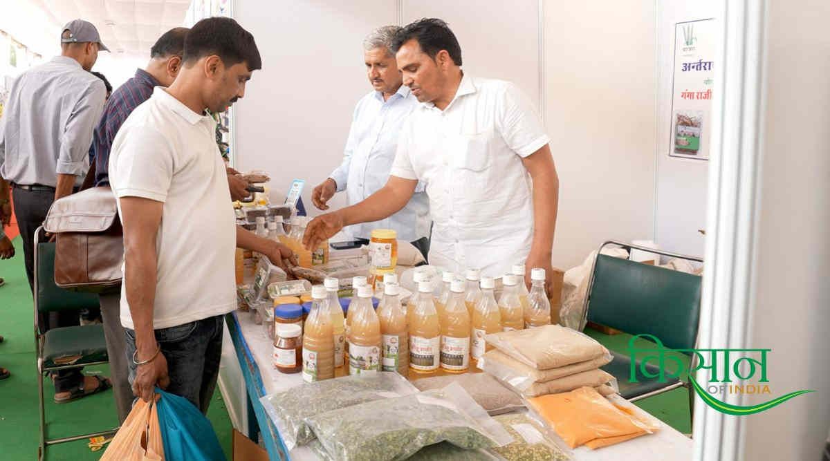 Millets Farming