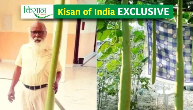 Bottle Gourd Cultivation