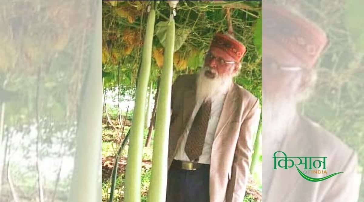 Bottle Gourd Cultivation