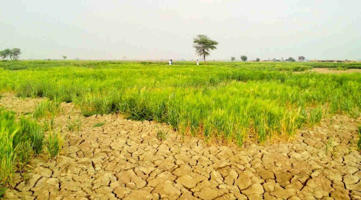 Soil Health