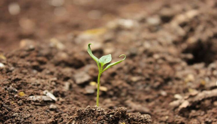 Soil Health