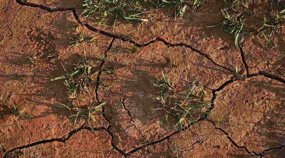 Soil Health