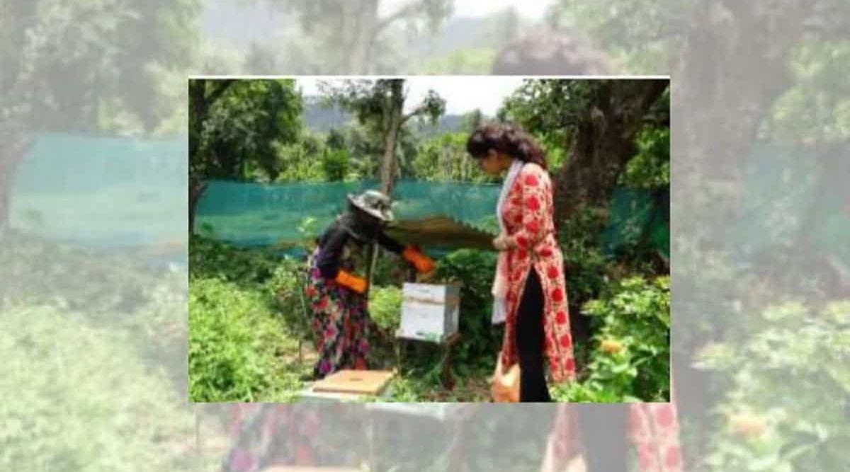 Nutri Garden