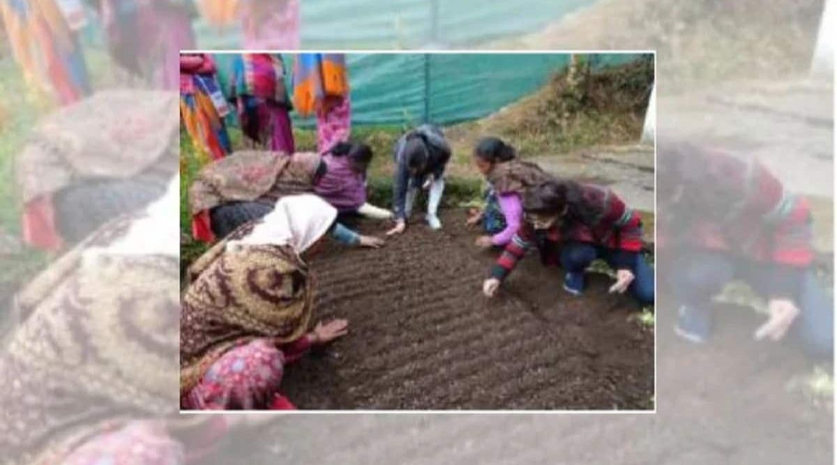 Nutri Garden
