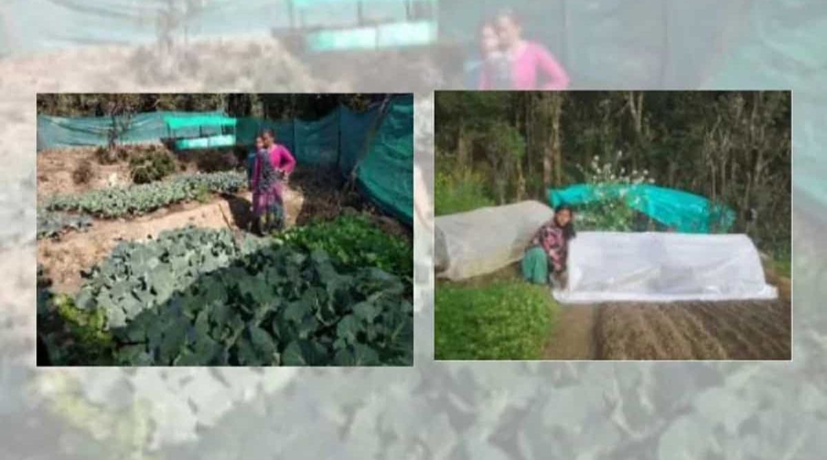 Nutri Garden