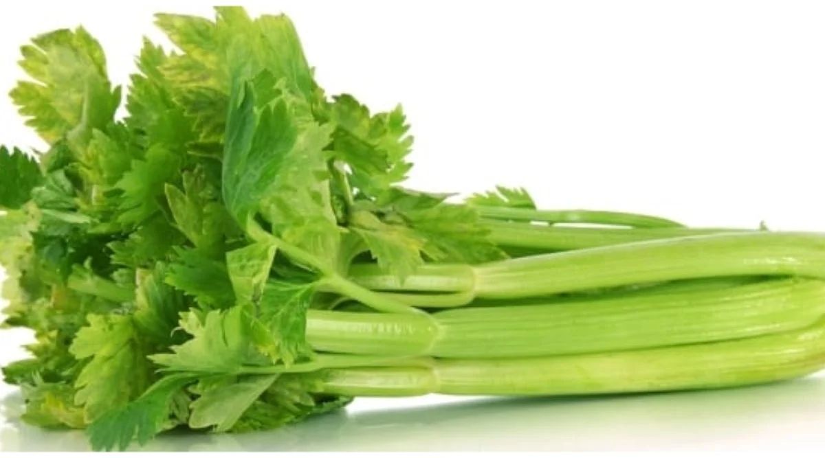 Celery