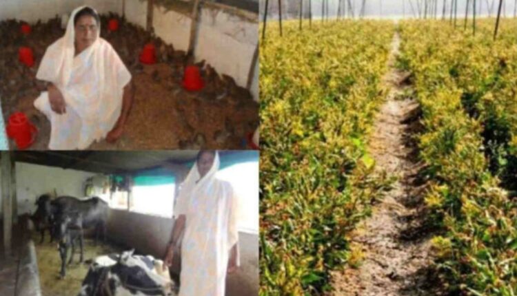 Integrated Farming System: Rupesh Kumar Chaudhary achieved success by adopting integrated farming system based on fish farming