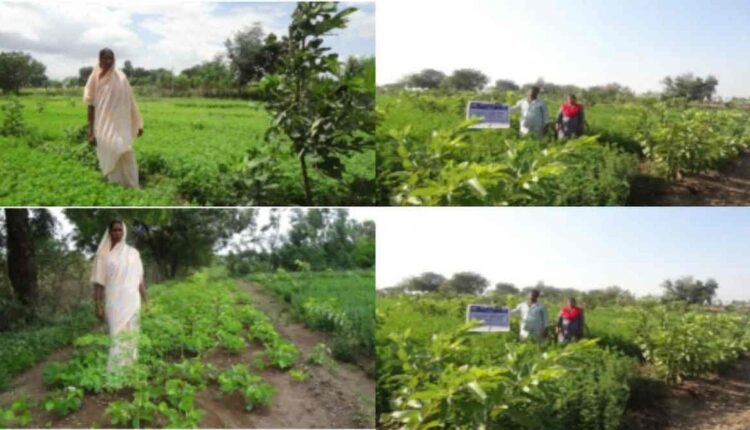 A New Era of Smart Farming: How Dhirendra Kumar Bhanu Bhai Desai's Technical Vision Became an Inspiration