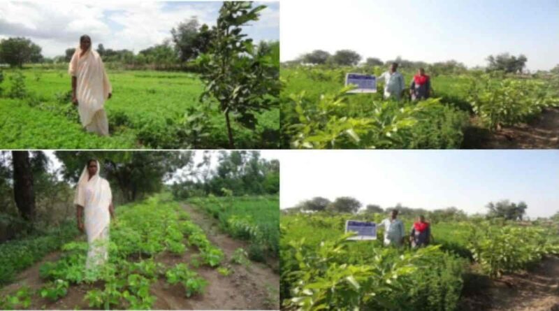 A New Era of Smart Farming: How Dhirendra Kumar Bhanu Bhai Desai's Technical Vision Became an Inspiration