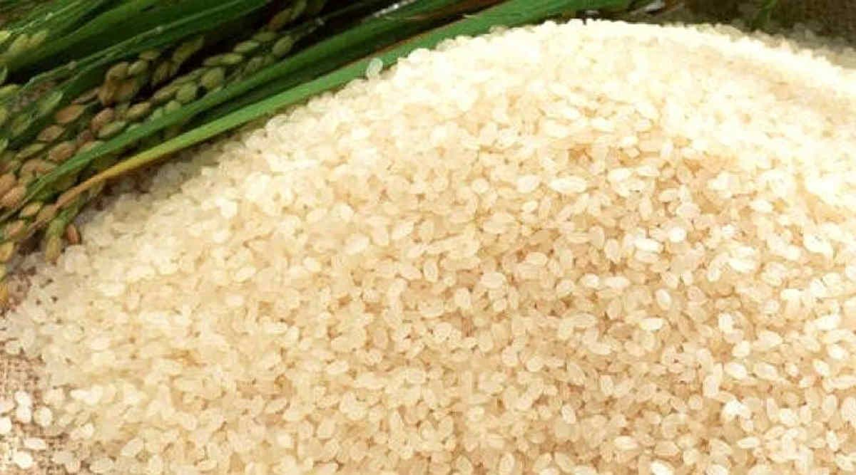 Joha Rice Farming