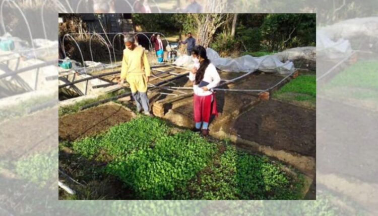 Vegetable Farming