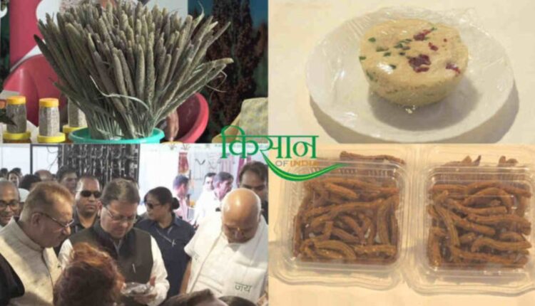 Uttarakhand 'Shree Anna' Mahotsav