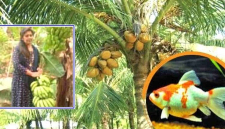 Mixed-Cropping Technique