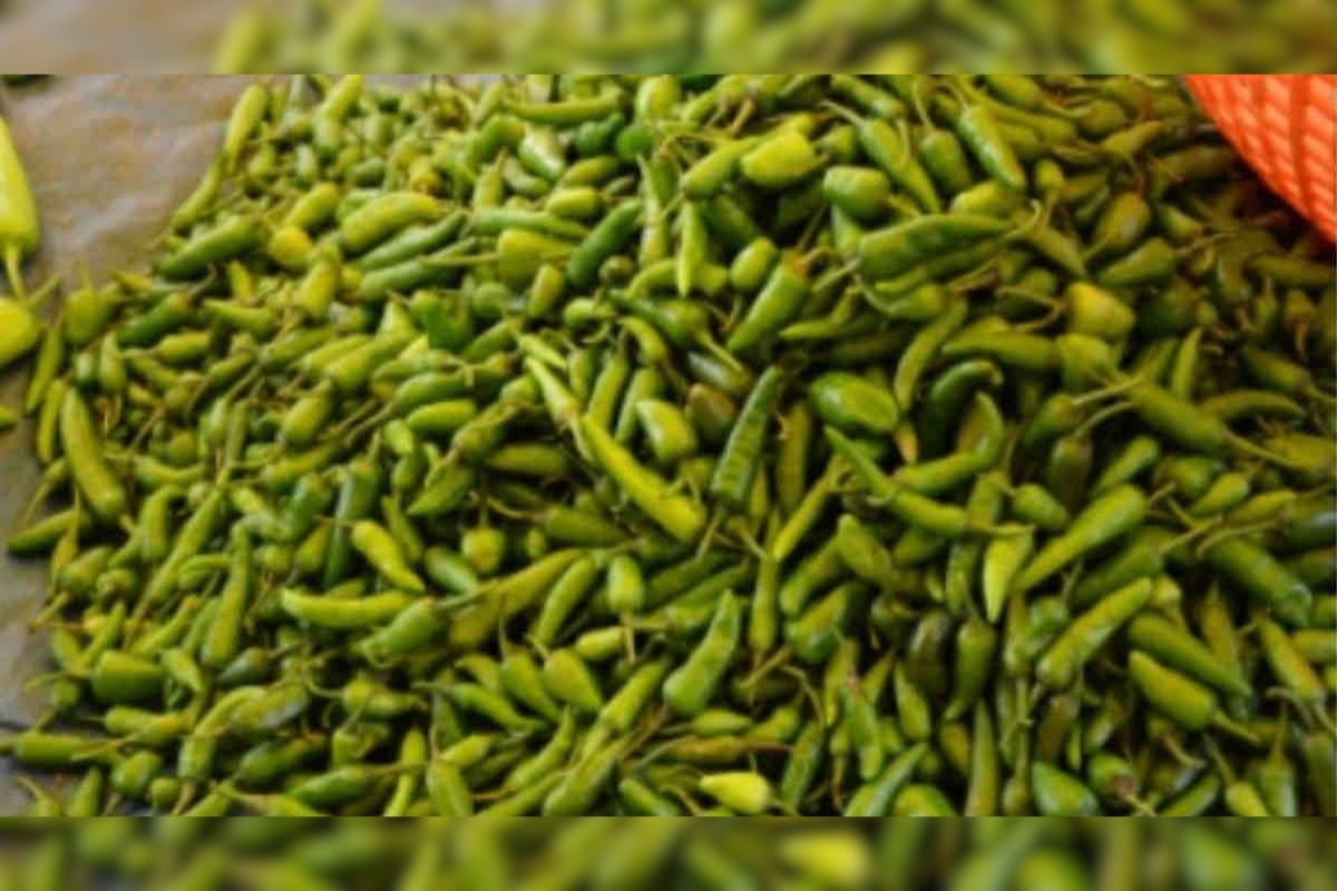 Green Chilli