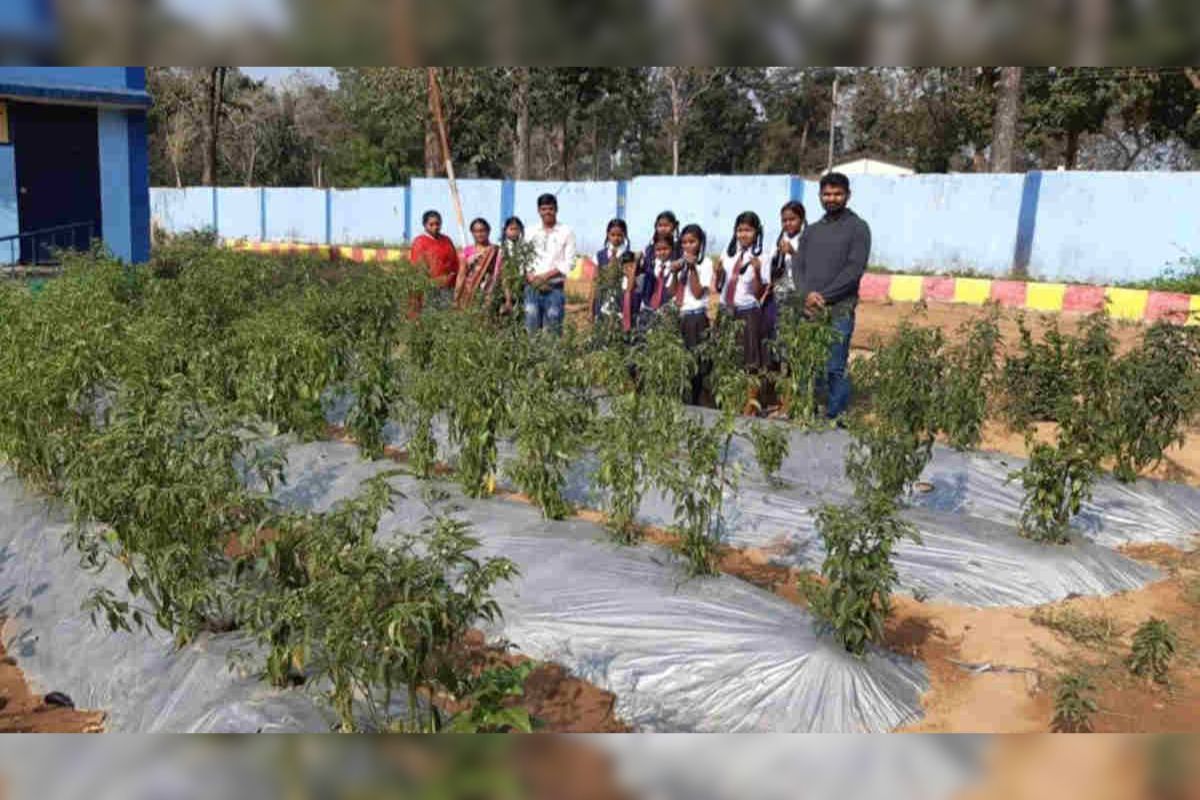 Plastic Mulching Technology