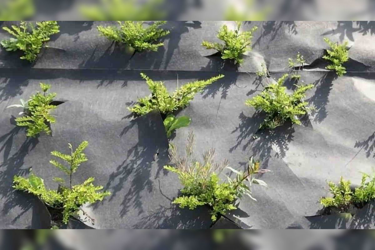 Plastic Mulching Technology