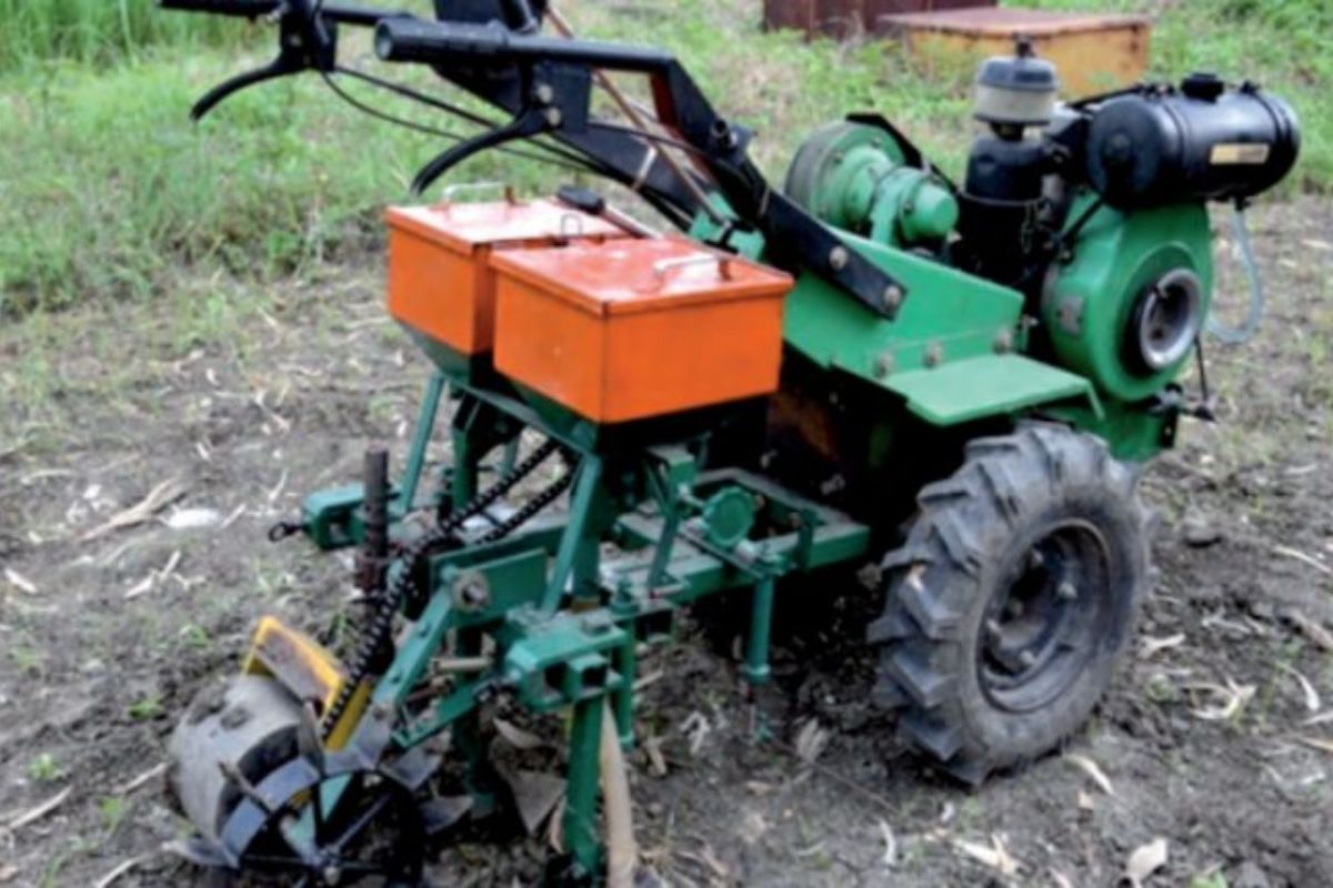 Cotton Cultivation