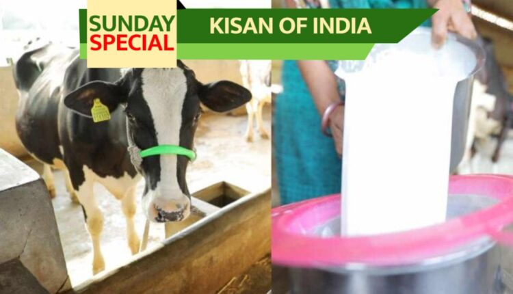 Heat Stress In Dairy Animals