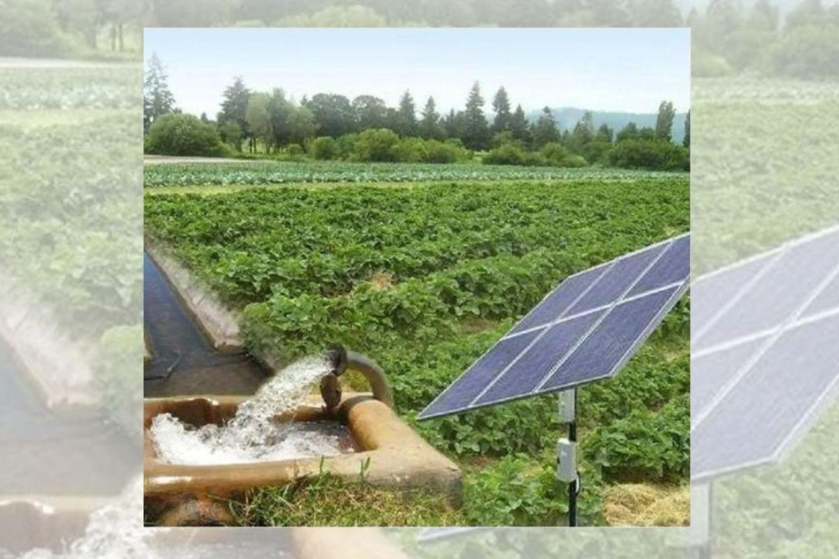 Energy Conservation