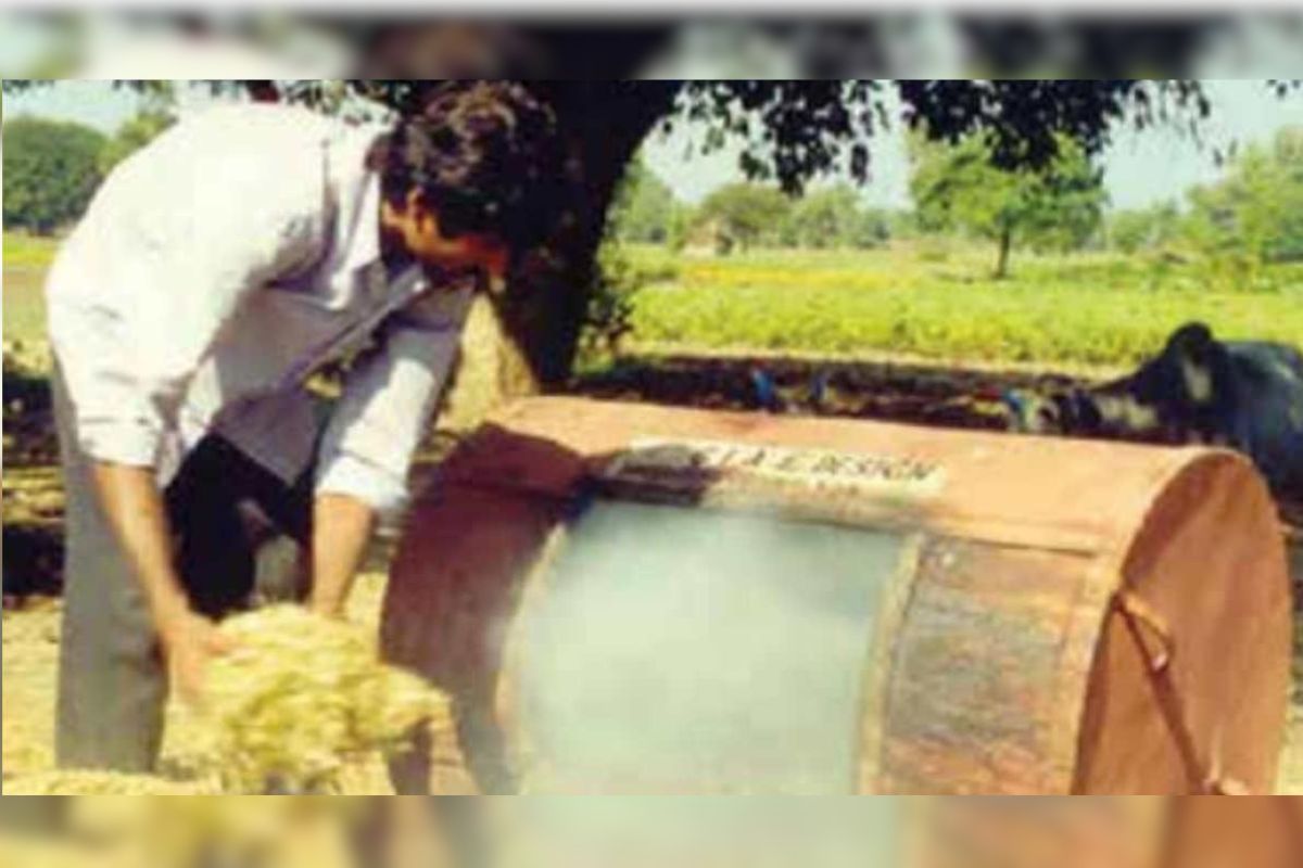 Biochar
