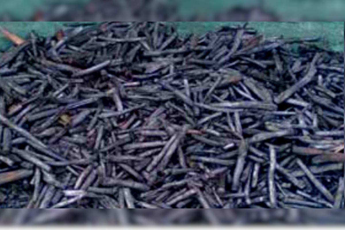 Biochar