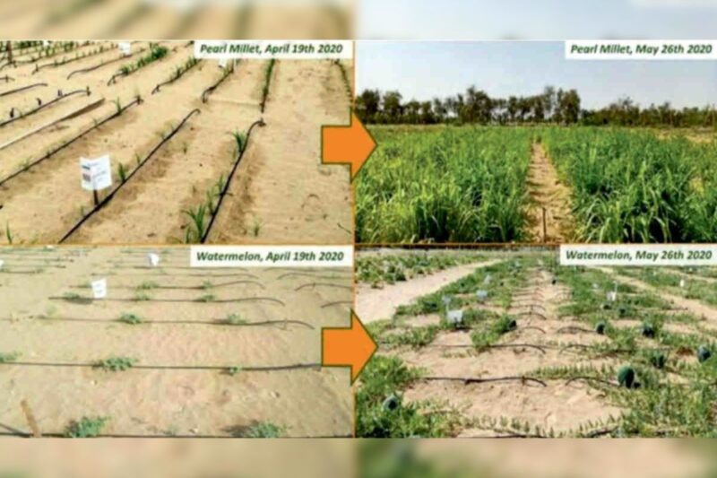 Inspiring story of Vishal Kumawat uses latest technologies in agriculture