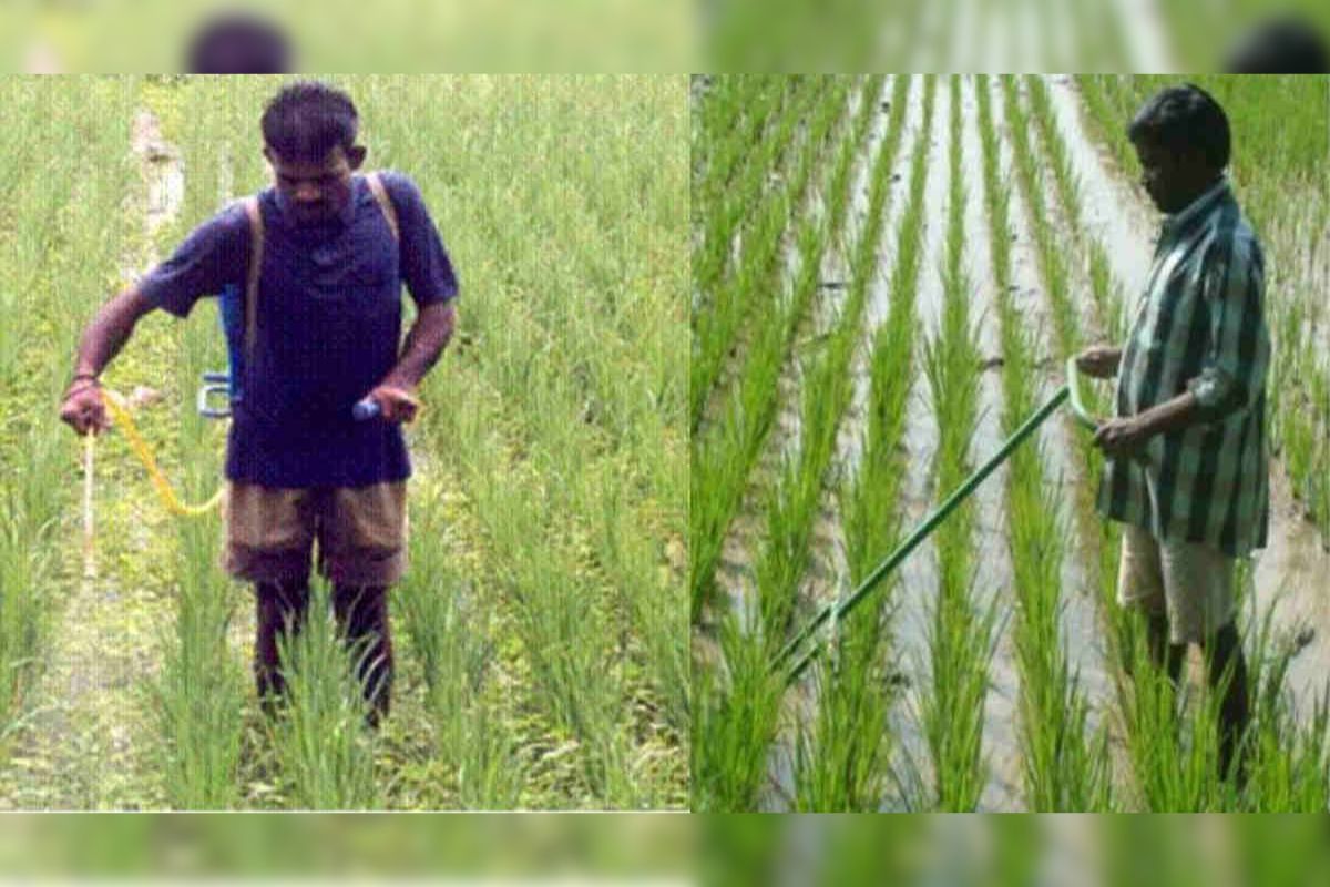 prevention of weeds