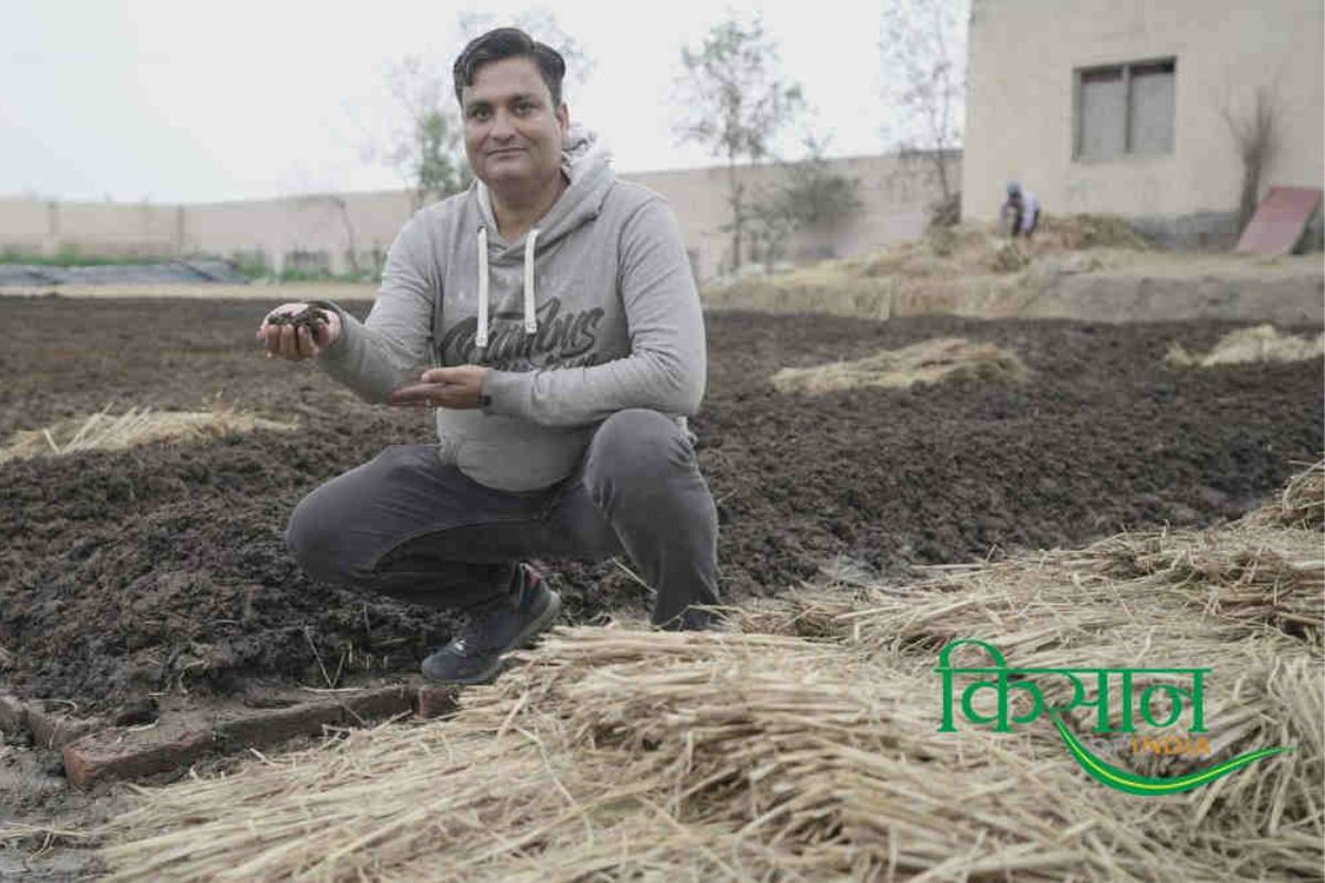 Vermicompost business