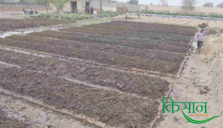 Vermicompost Business: Uttarakhand's Tahir Hasan started his own Vermicompost Business with cow dung and earthworms
