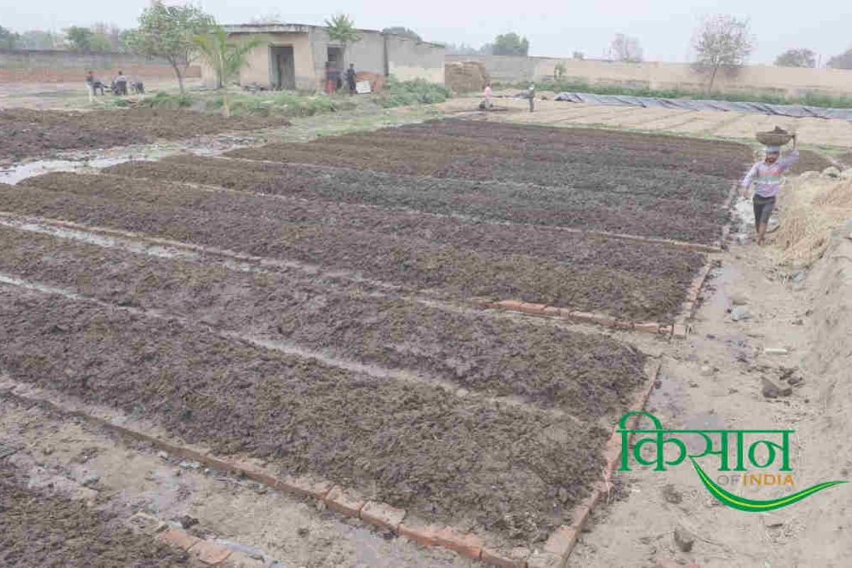 Vermicompost business