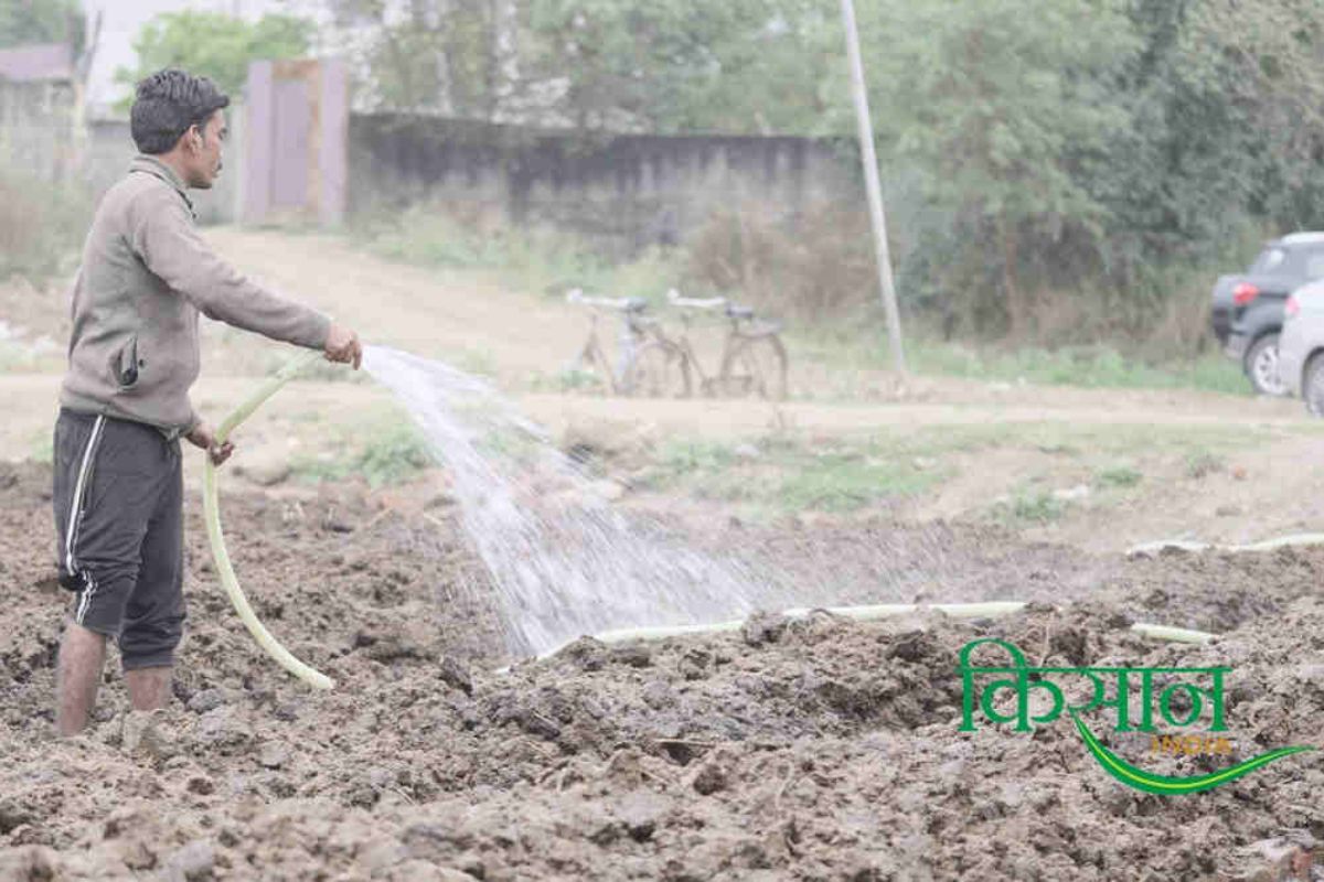 Vermicompost business