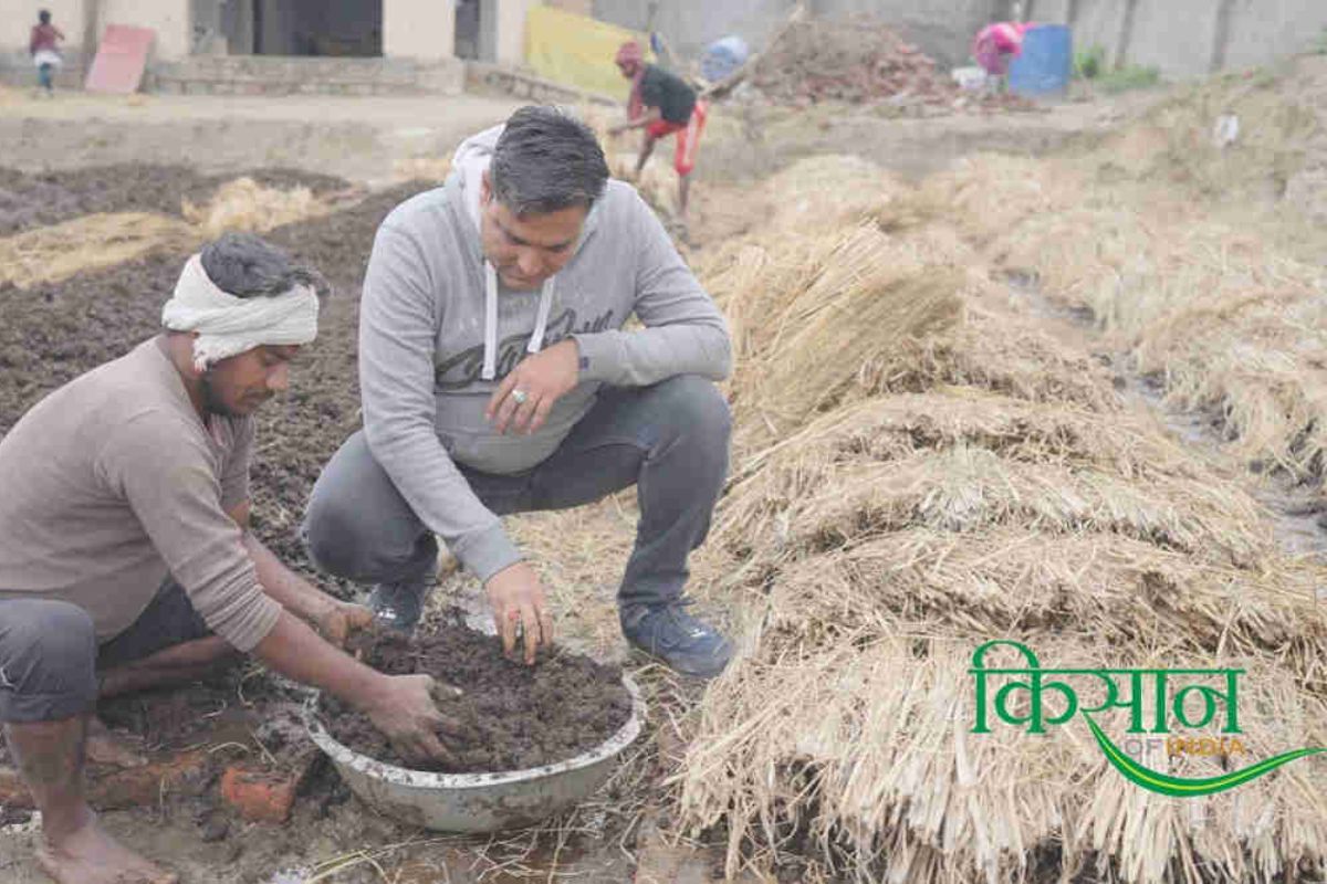 Vermicompost business