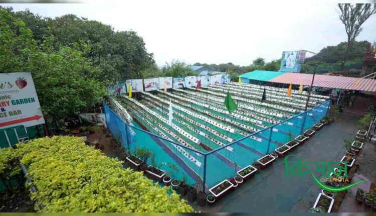 Strawberry Farming