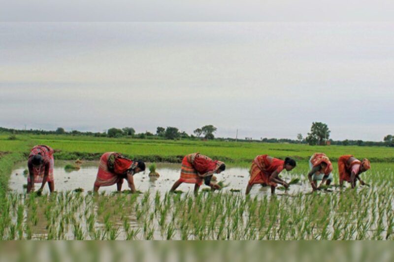 Story of Heritage of Conservation Farming by Raghupat Singh