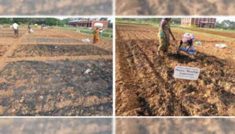 Vishal Singh moves towards rural advancement through innovation in agriculture