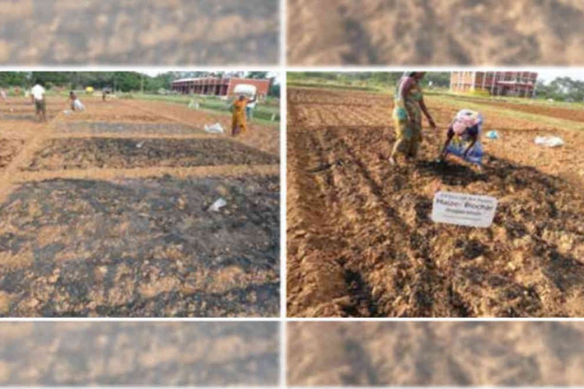 Biochar