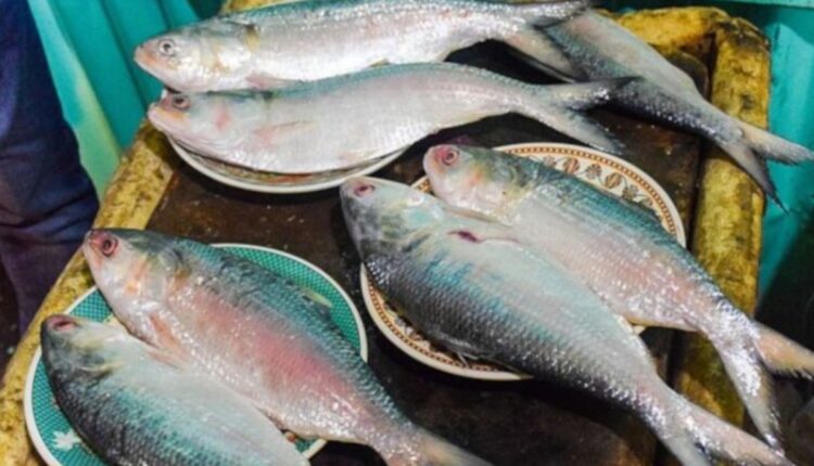 Fish farming Practices: Vineet Singh speaks on everything from pond construction to fish seeds and market prices