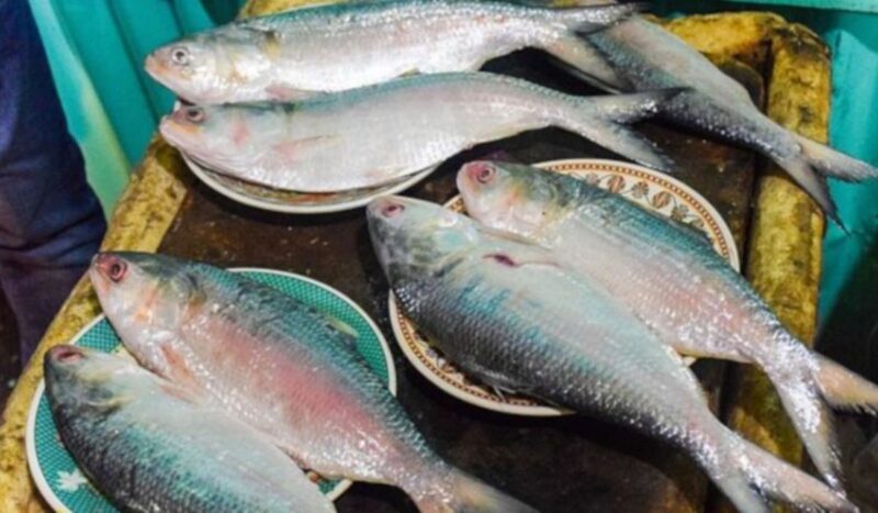 Fish farming Practices: Vineet Singh speaks on everything from pond construction to fish seeds and market prices