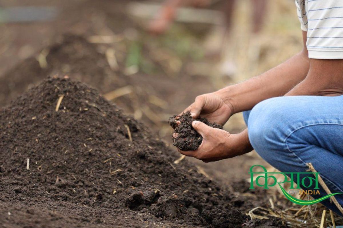 Vermicompost Business