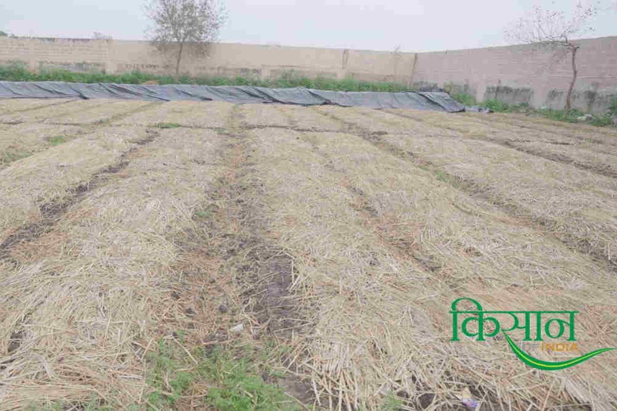 Vermicompost Business