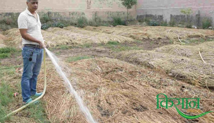 Vermicompost Business
