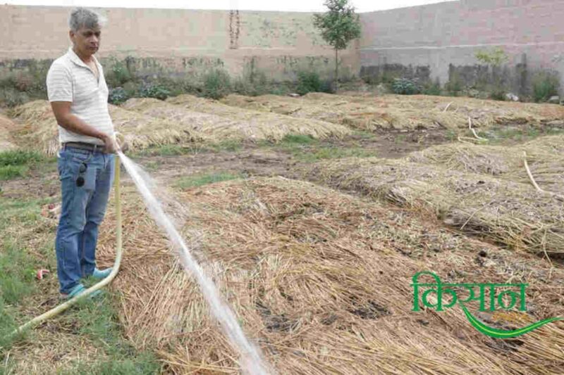 Vermicompost Business