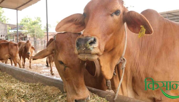 Animal-based Agricultural Systems: How is animal-based agricultural system beneficial for farmers?