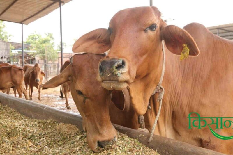 Animal-based Agricultural Systems: How is animal-based agricultural system beneficial for farmers?