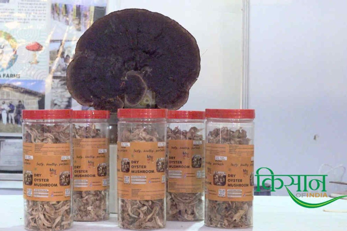 Bhukripa Farms