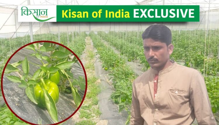 Plastic Mulching Technique