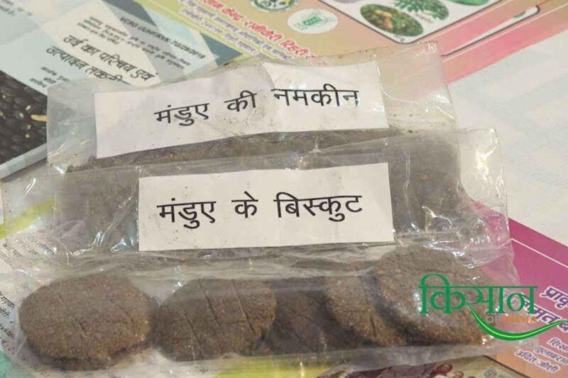 Millets Products: Anup Soni started a successful bakery with millet products, read his story