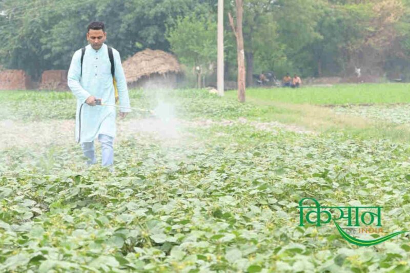 Organic Farming